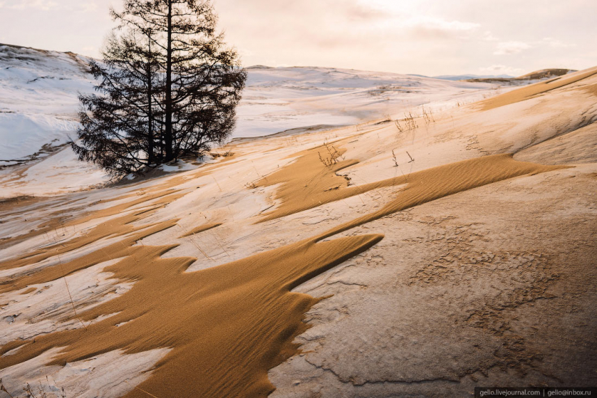 Чарские пески – самая северная пустыня в мире 