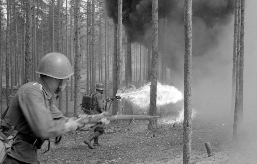 Финляндия во Второй мировой войне 