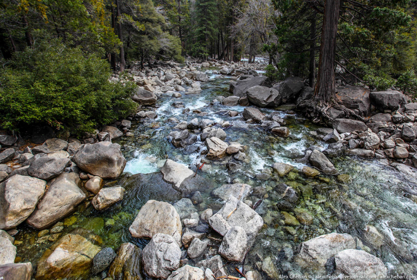 Идеальный парк Йосемити в Калифорнии 
