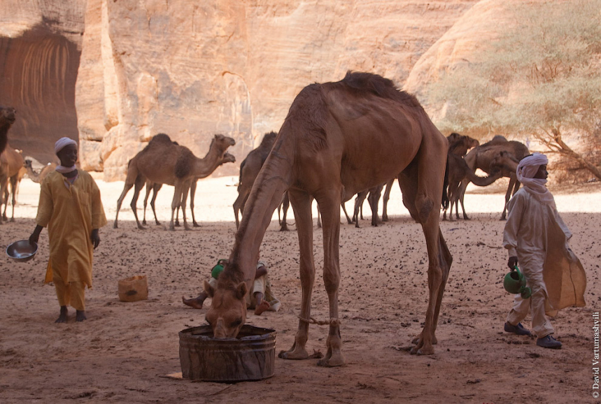 Гельта д’Аршей в пустыне Сахара 