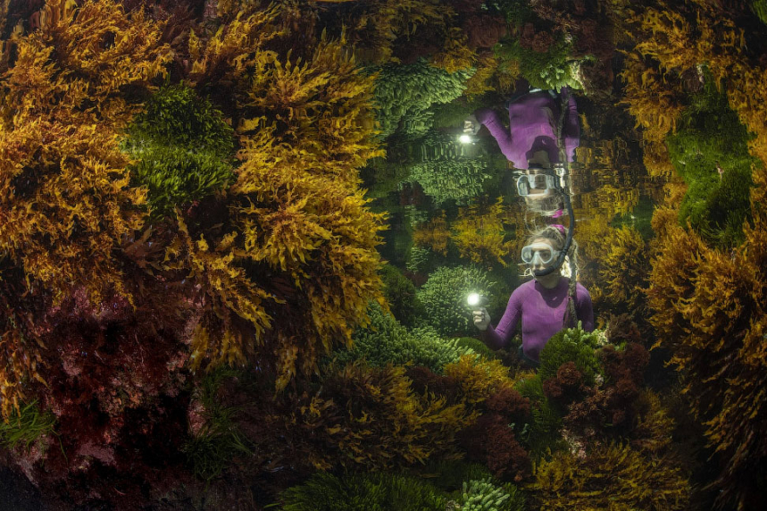 Победители Wildlife Photographer of the Year 2021 