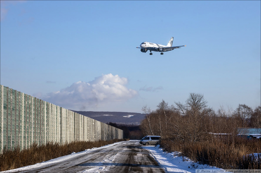 Самолёты в Петропавловске-Камчатском 